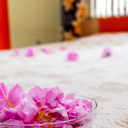 Family Hotel Kavrakovi พาเวลบันยา ภายนอก รูปภาพ